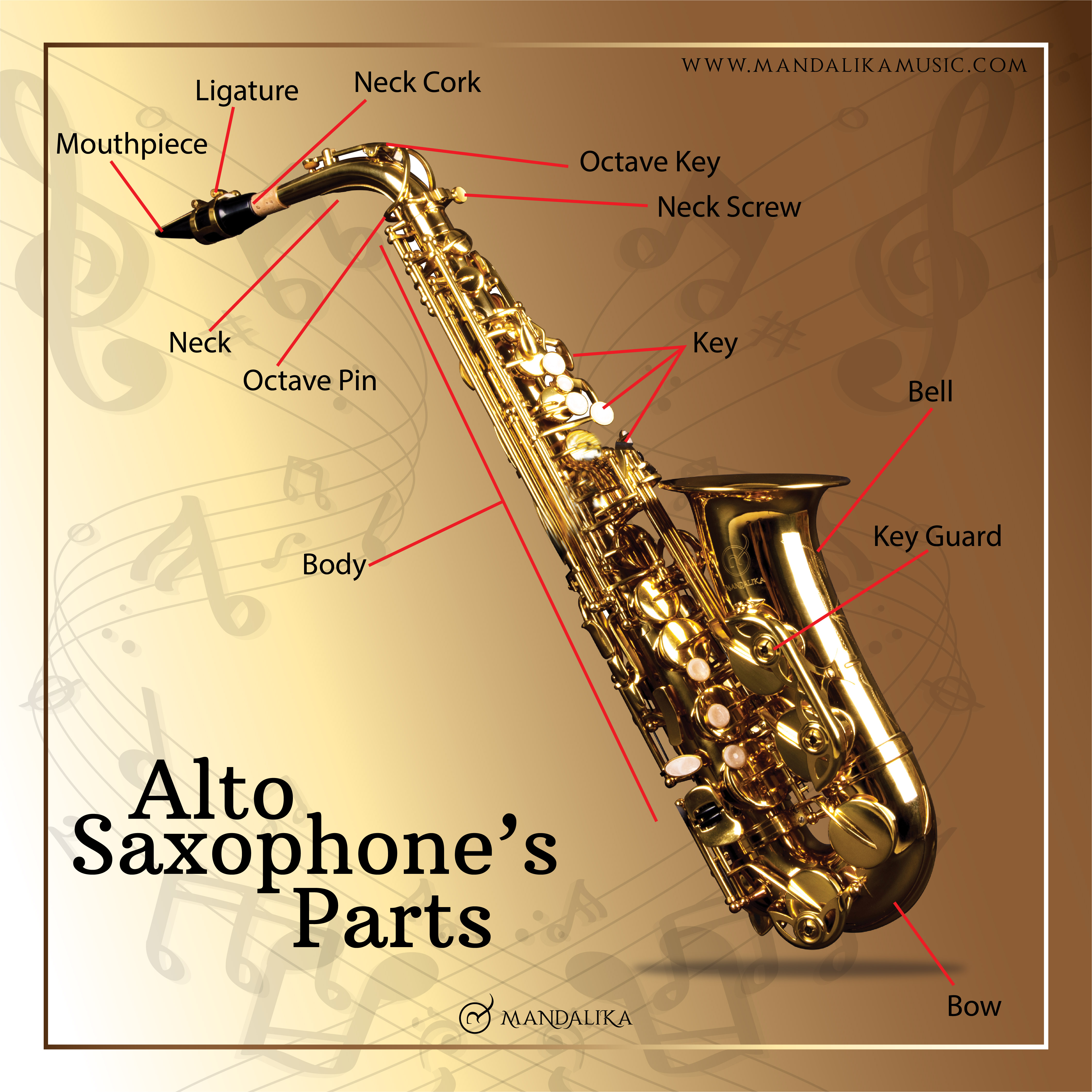 Mengenal Bagian dari Saxophone